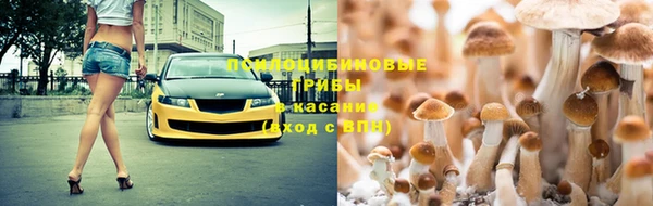 тгк Белокуриха