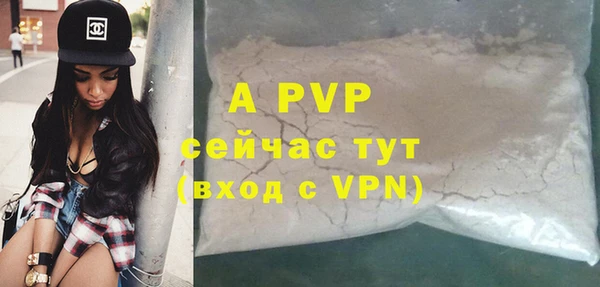 сатива Белоозёрский