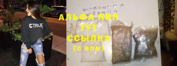 сатива Белоозёрский