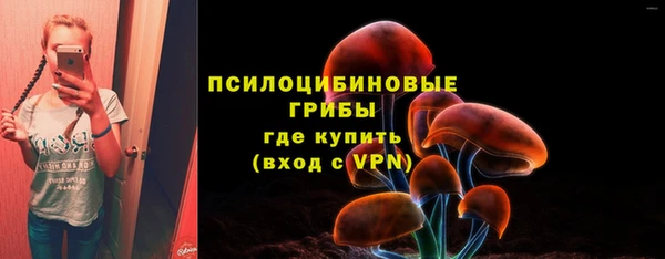 сатива Белоозёрский