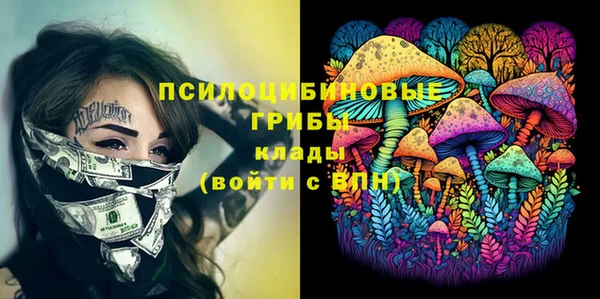 сатива Белоозёрский