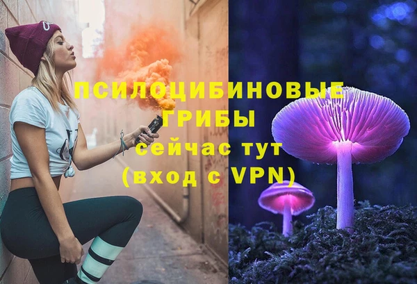 сатива Белоозёрский