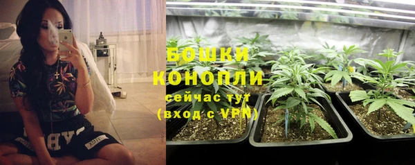 тгк Белокуриха