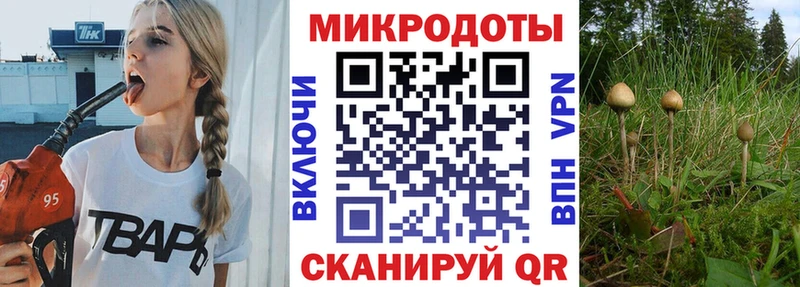 ссылка на мегу зеркало  Верхотурье  Псилоцибиновые грибы мицелий 